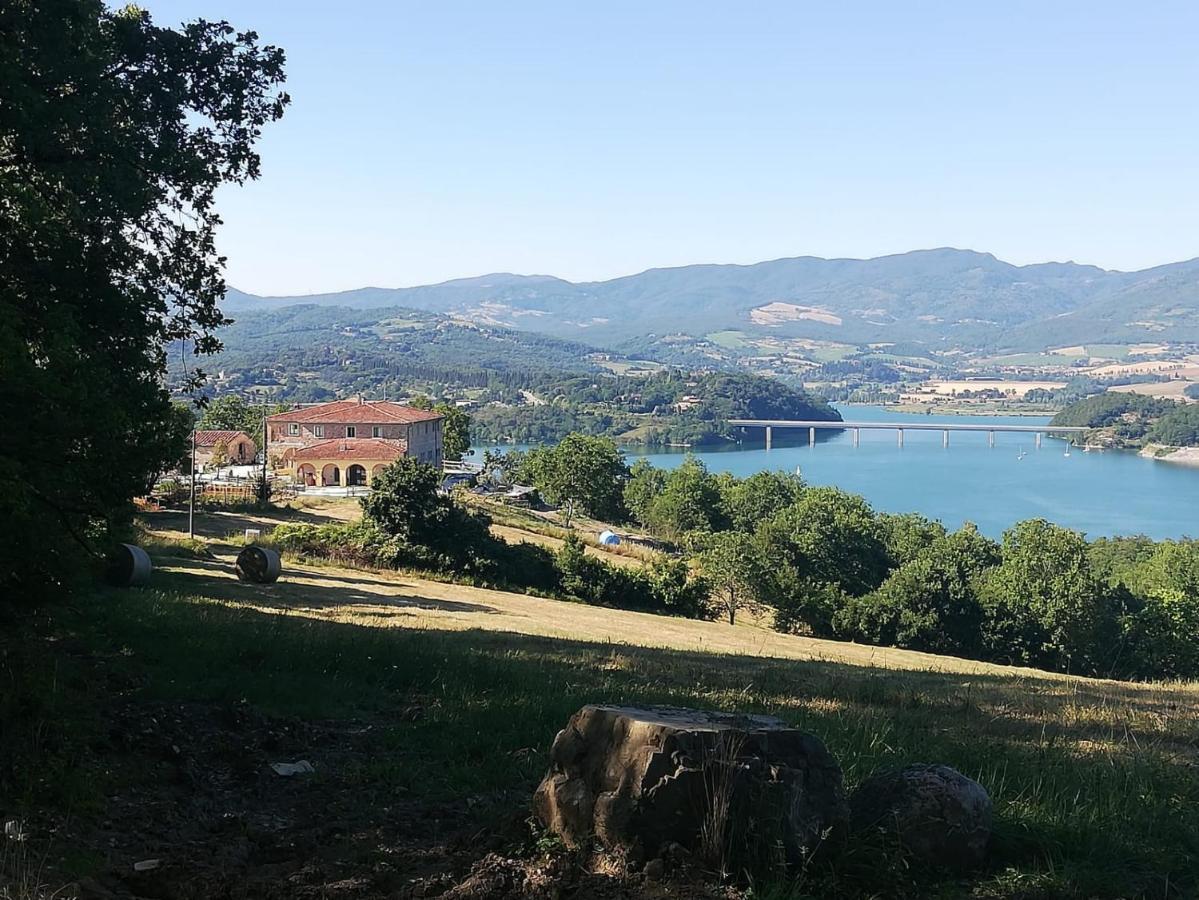 Podere Il Sasso Барберино-ді-Муджелло Екстер'єр фото