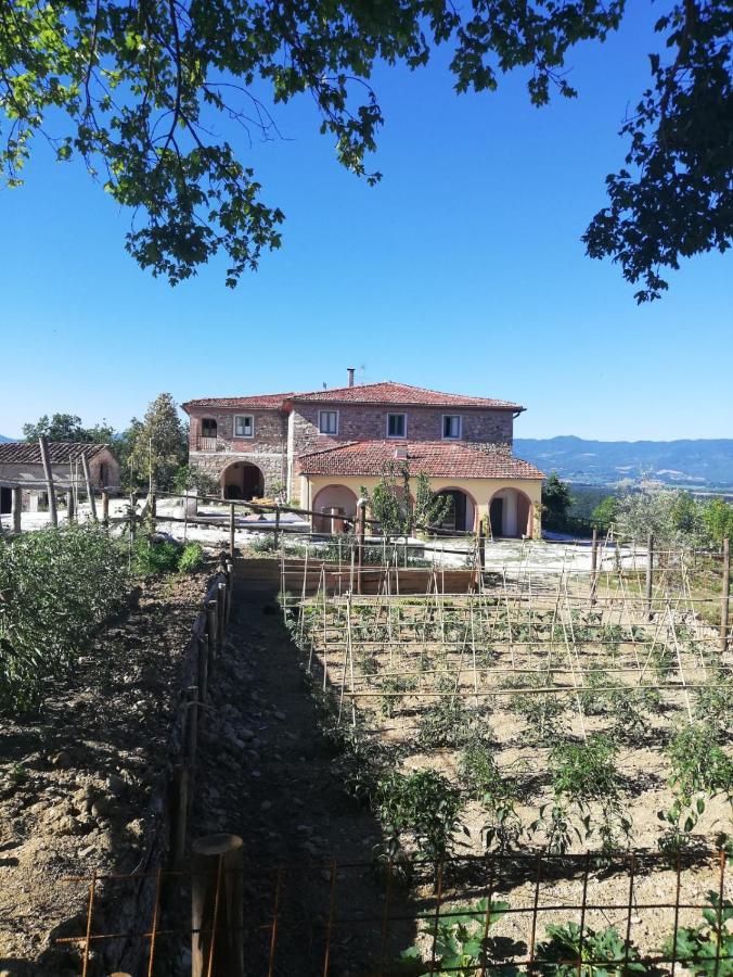 Podere Il Sasso Барберино-ді-Муджелло Екстер'єр фото