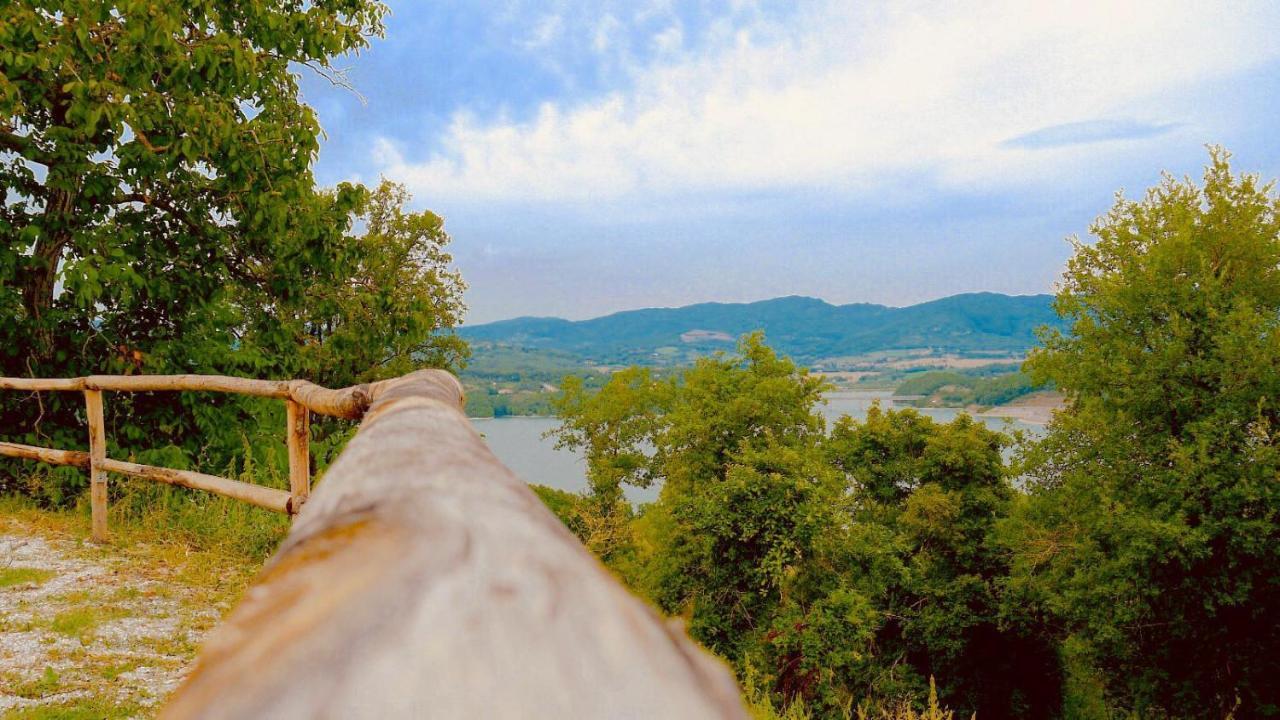 Podere Il Sasso Барберино-ді-Муджелло Екстер'єр фото